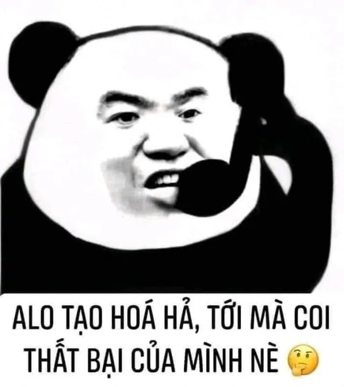 meme panda trung quốc