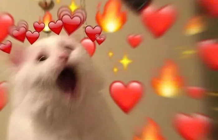 Tải miễn phí 99+ hình meme yêu thương, hài hướng ý nghĩa