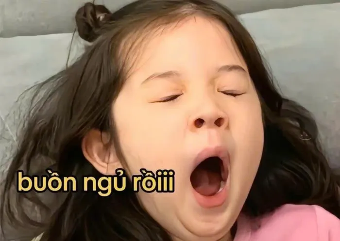 ngáp ngủ meme