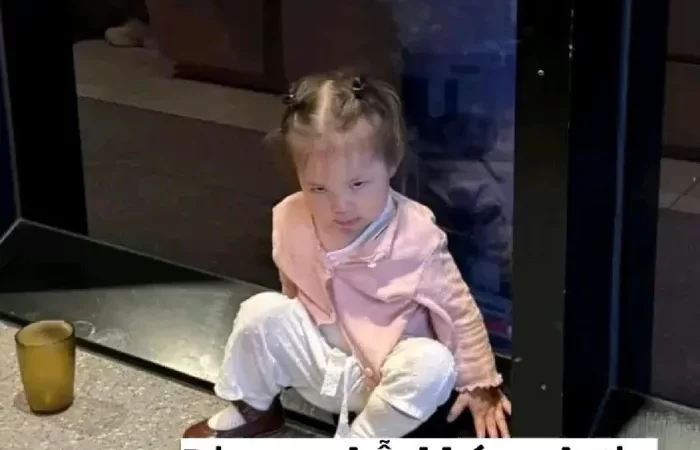 Tuyển chọn 99+ hình meme Pam siêu hài hước, bá đạo