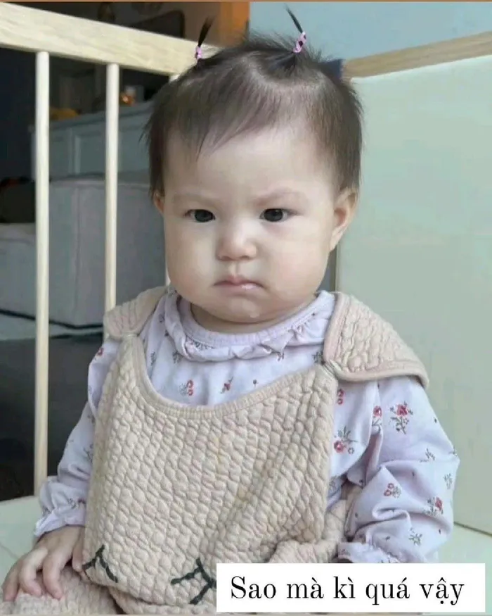 pam yêu ơi meme pamyeuoi