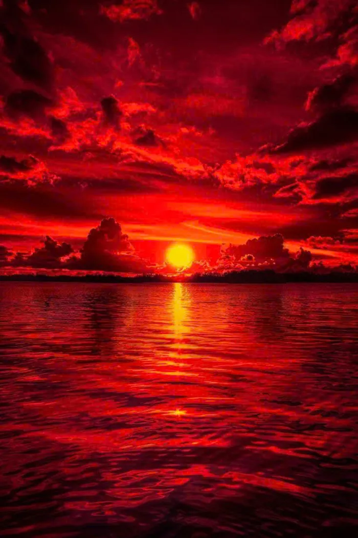 phông nền đỏ đẹp