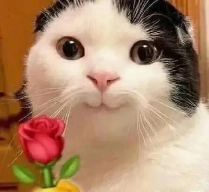 tặng em bông hoa meme