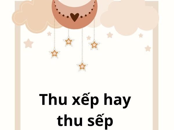 Thu xếp hay thu sếp? Phân biệt chính xác và cách sử dụng đúng trong tiếng Việt