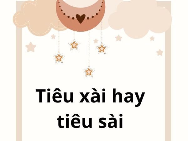 Tiêu Xài Hay Tiêu Sài: Cách Sử Dụng Đúng Để Tránh Nhầm Lẫn Trong Giao Tiếp