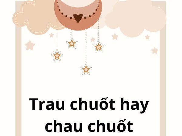 Trau chuốt hay chau chuốt: Phân biệt cách viết đúng và cách tối ưu từ khóa chuẩn SEO