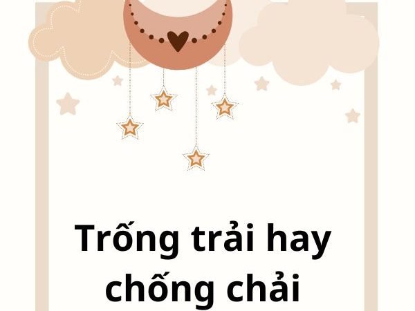 Trống trải hay chống chải? Sử dụng đúng để tránh nhầm lẫn