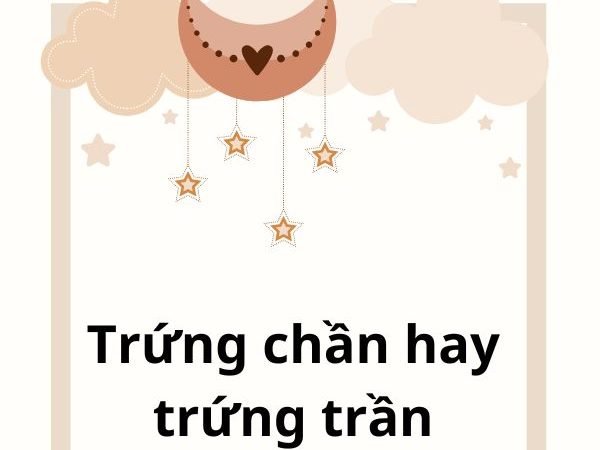 Trứng Chần Hay Trứng Trần: Phân Biệt Đúng Chính Tả Và Sử Dụng Chính Xác