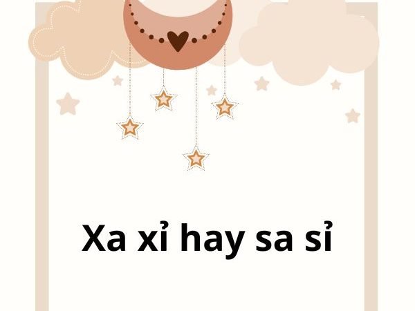 Xa Xỉ hay Sa Sỉ? Đâu Là Cách Viết Đúng và Ý Nghĩa Chính Xác?