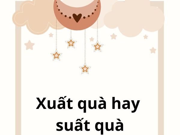 Xuất Quà hay Suất Quà? Phân Biệt và Cách Sử Dụng Đúng