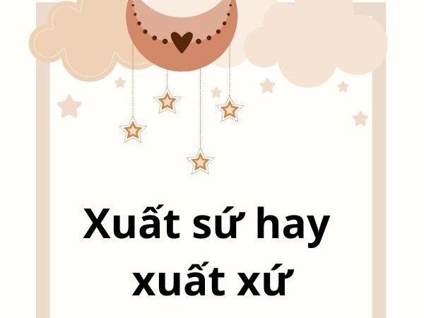 Xuất Sứ Hay Xuất Xứ: Từ Nào Là Đúng Trong Tiếng Việt?