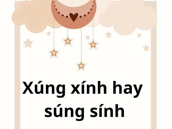 Xúng Xính Hay Súng Sính: Từ Nào Là Đúng Và Cách Sử Dụng Chính Xác?