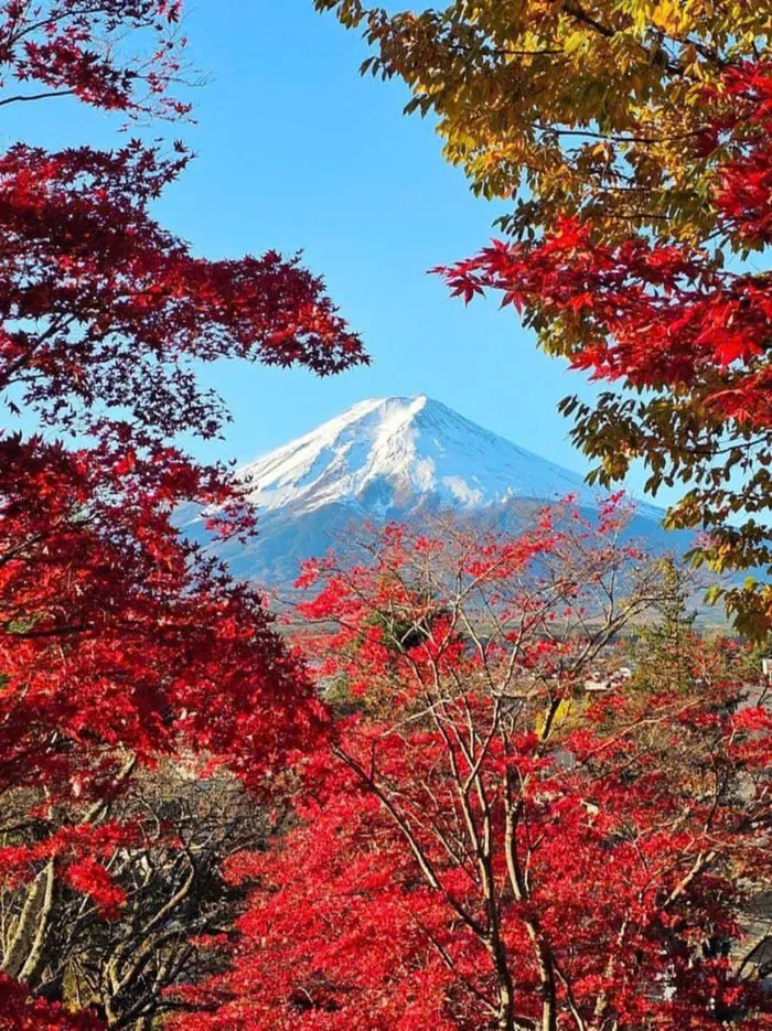 ảnh đẹp mùa thu