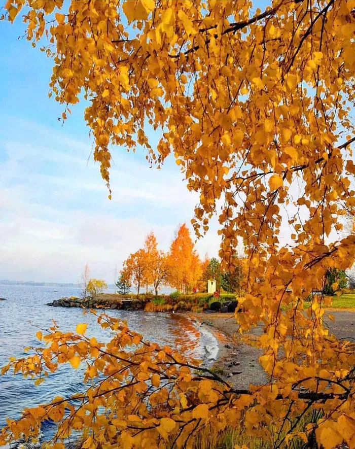 hình ảnh cảnh đẹp mùa thu