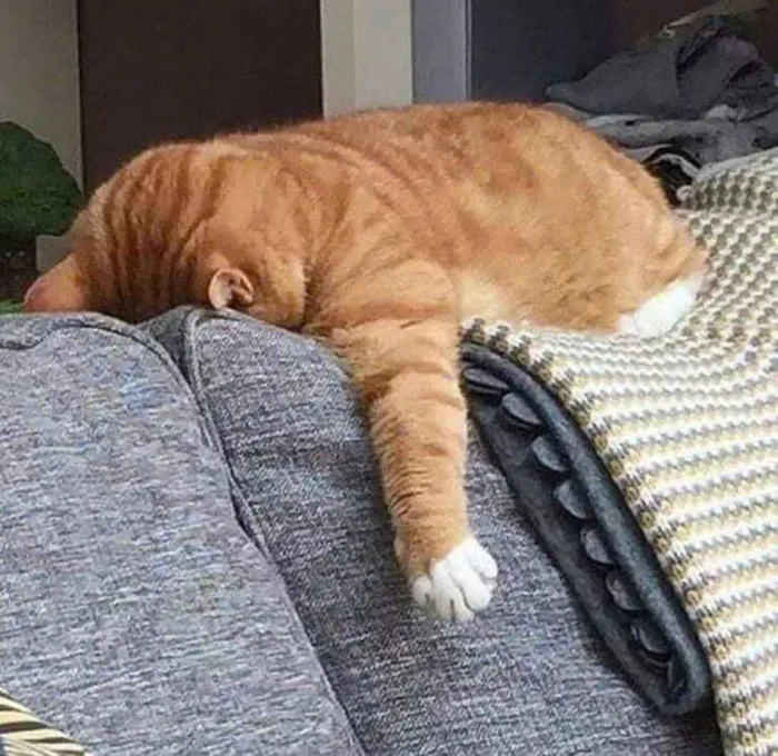 hình ảnh mệt mỏi chán nản