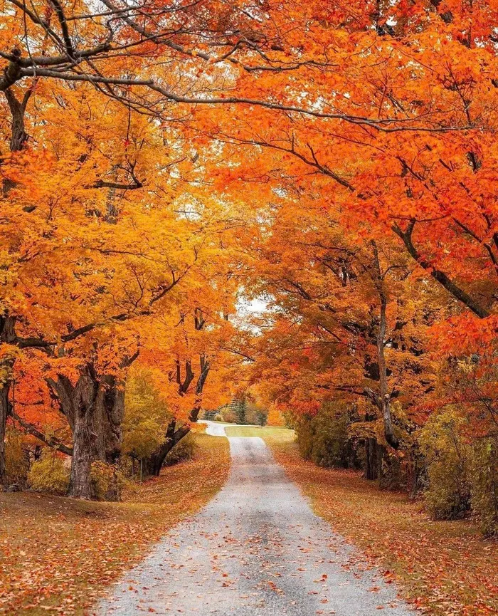 hình ảnh mùa thu đẹp ở việt nam