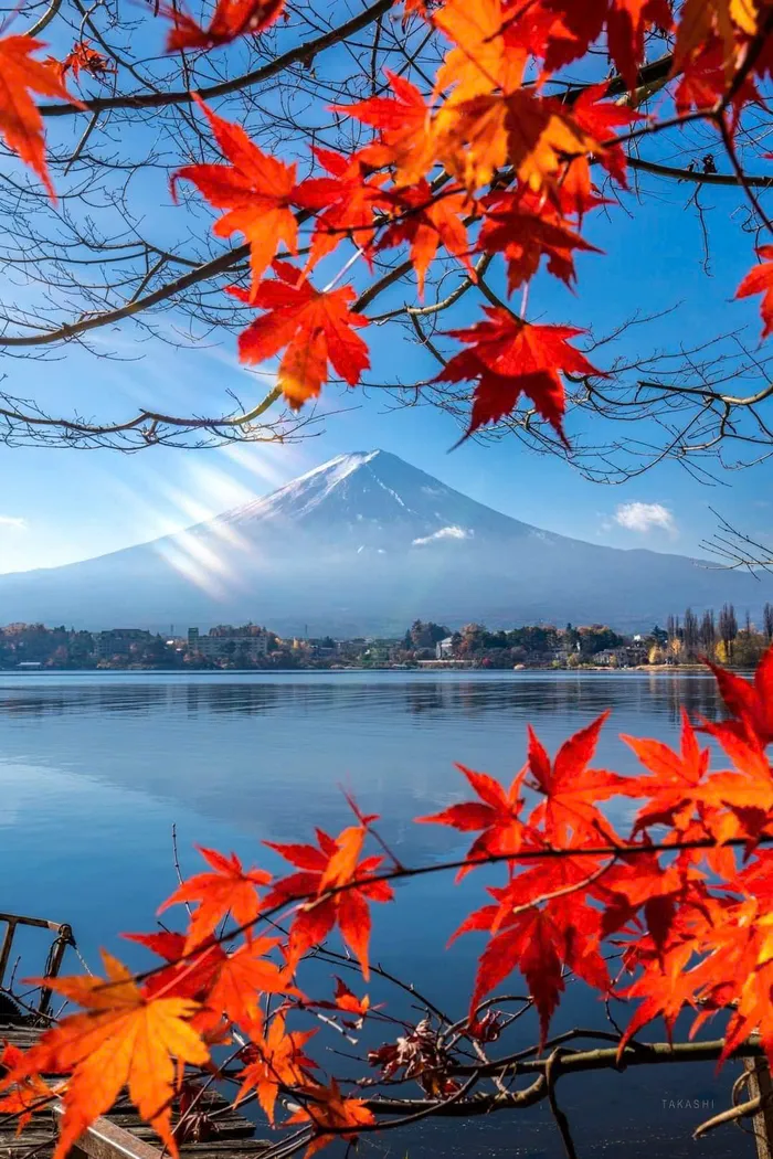 hình ảnh về mùa thu