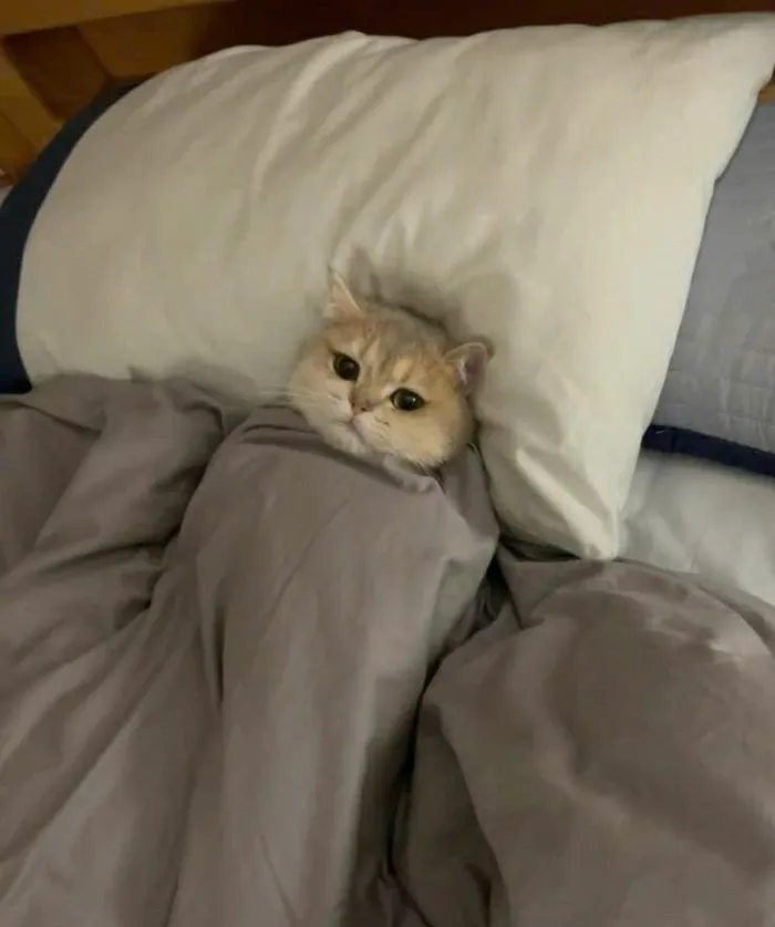 mệt mỏi hình ảnh bị ốm dễ thương