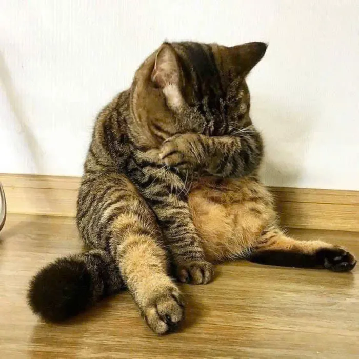 những hình ảnh mệt mỏi