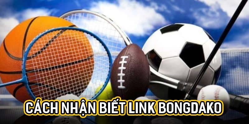 Link Bongdako Mới Nhất – Newbie Nên Nắm Rõ