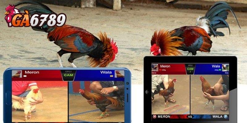 GA6789 có app mobile không? Trải nghiệm cá cược mọi lúc mọi nơi