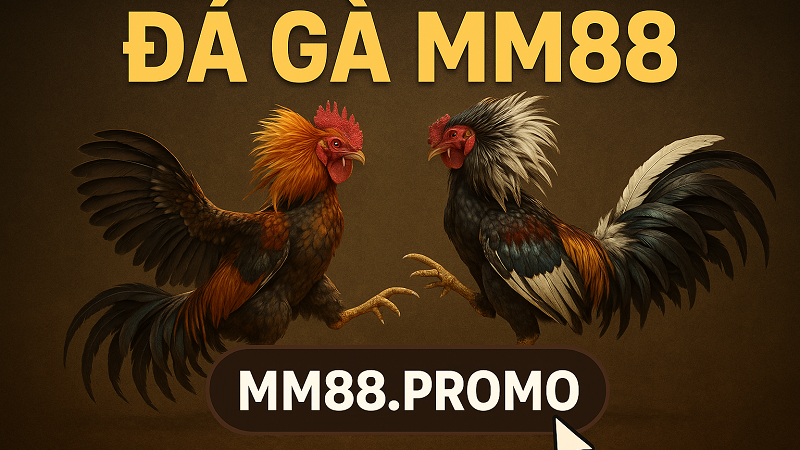 Hướng Dẫn Tham Gia Đá Gà Tại Nhà Cái MM88 Cho Anh Em Tân Thủ