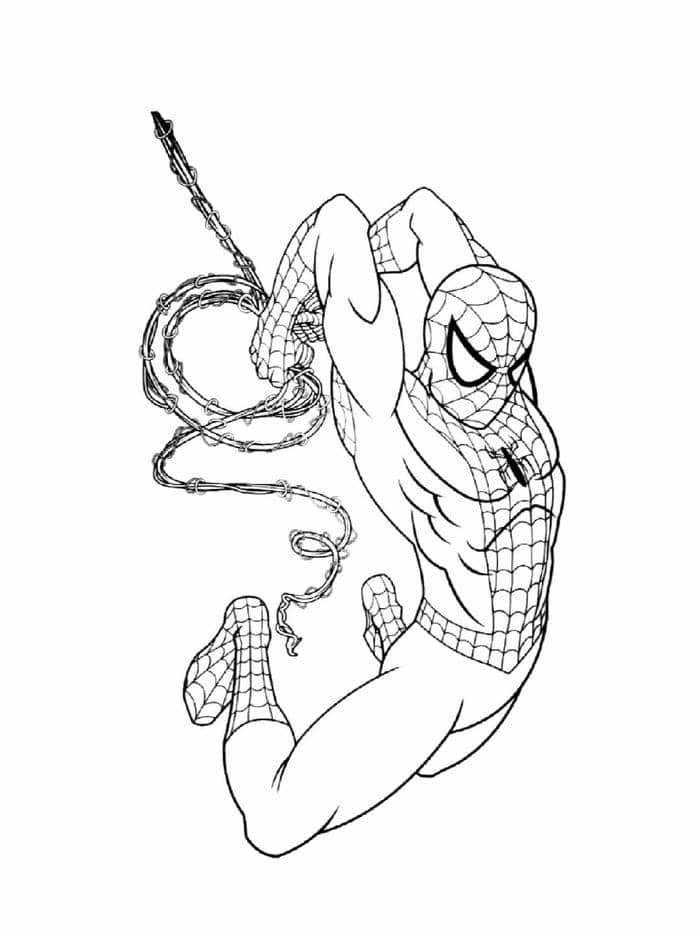 ảnh người nhện