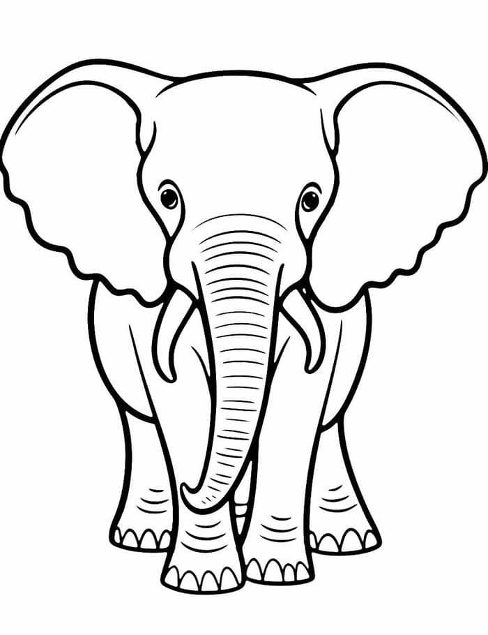 ảnh tô màu con voi đẹp