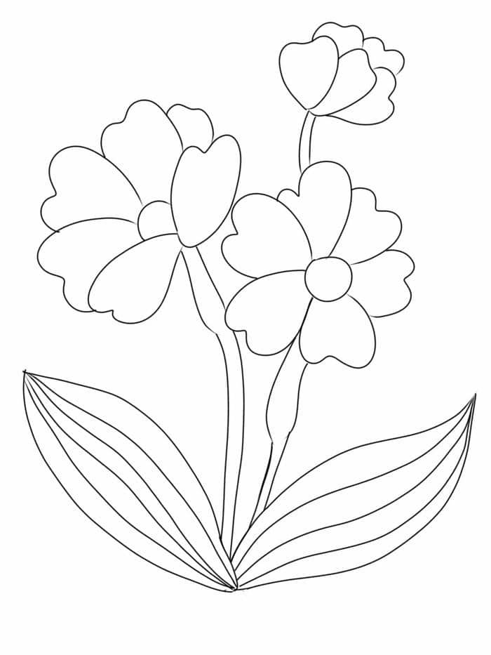 hình ảnh bông hoa tô màu