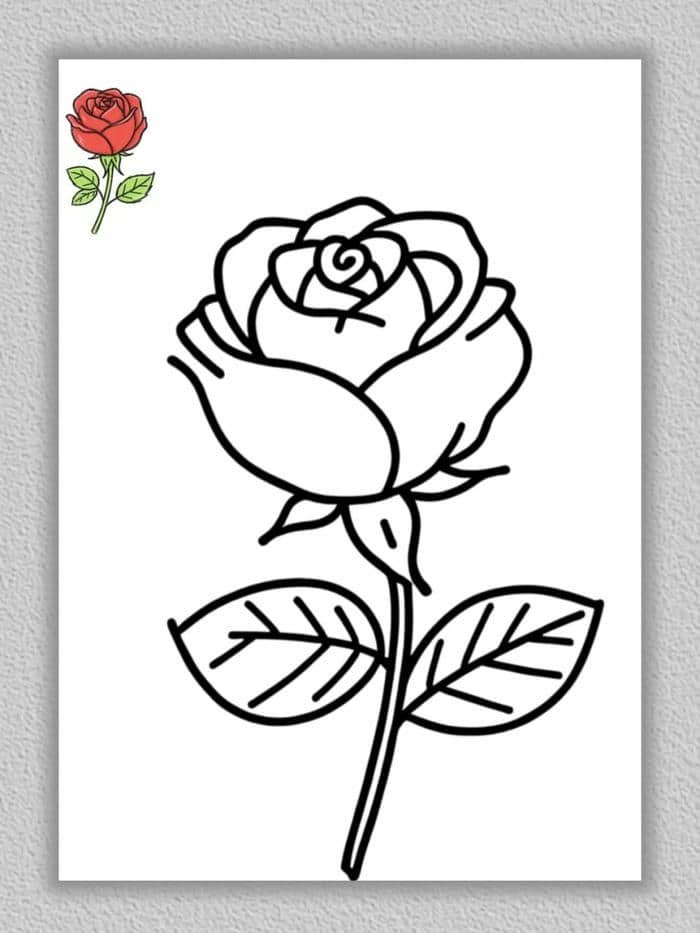 hình ảnh bông hoa vẽ