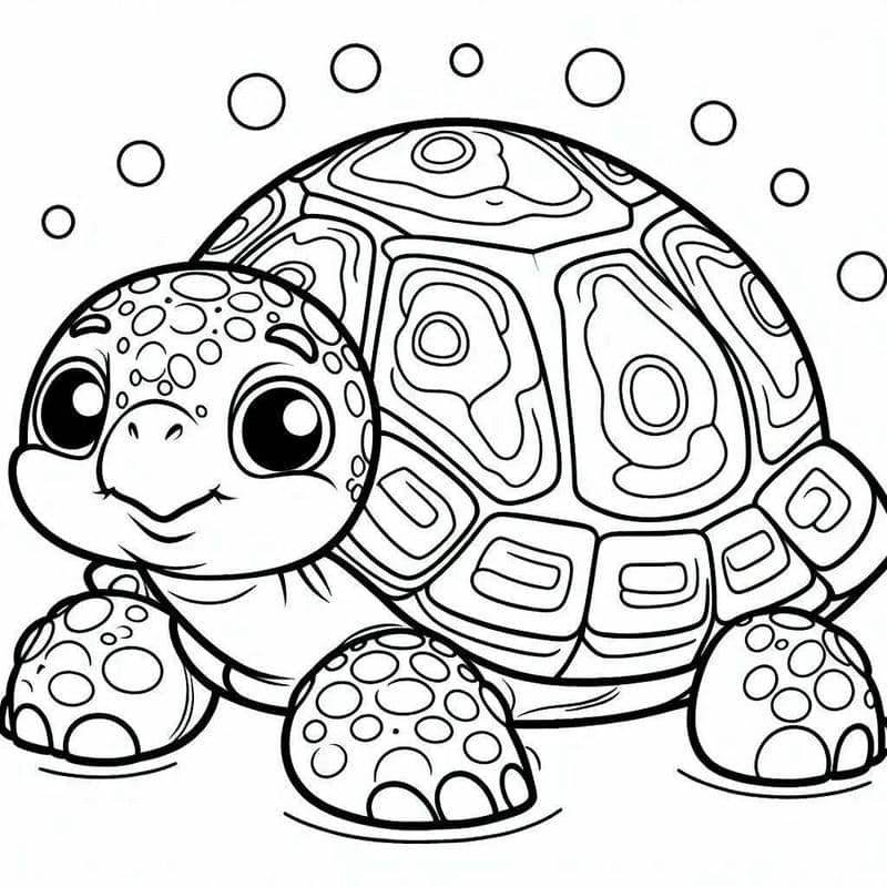 hình ảnh tranh con rùa