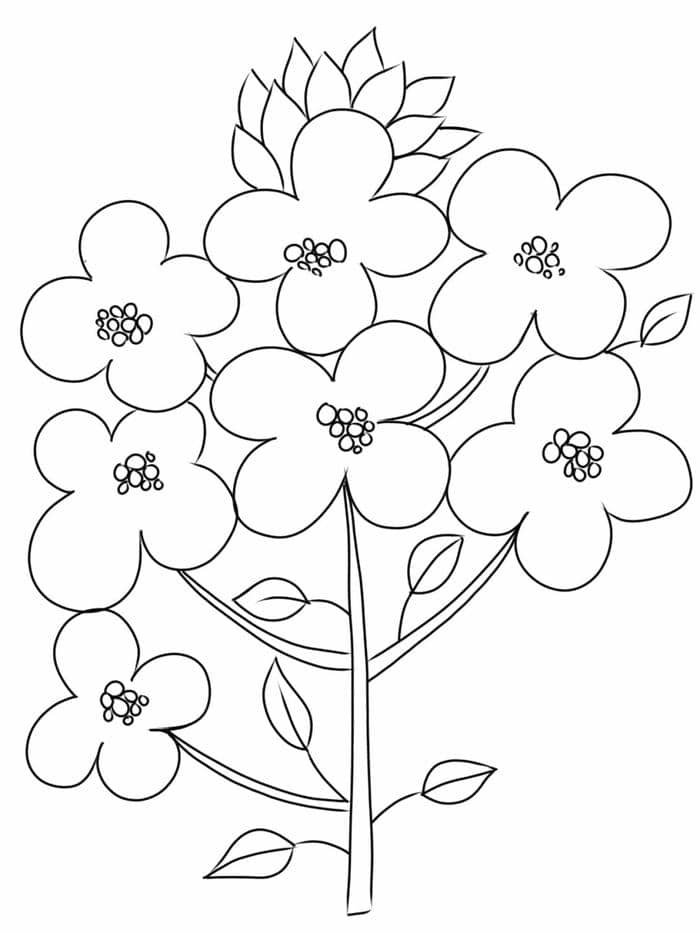 hình bông hoa tô màu