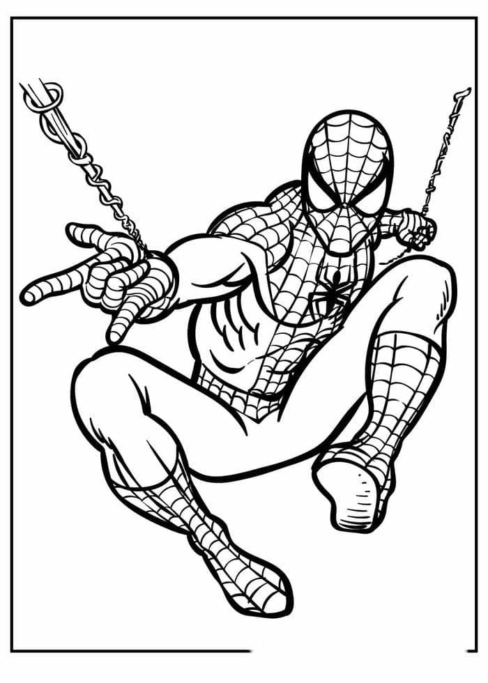 hình tô màu người nhện