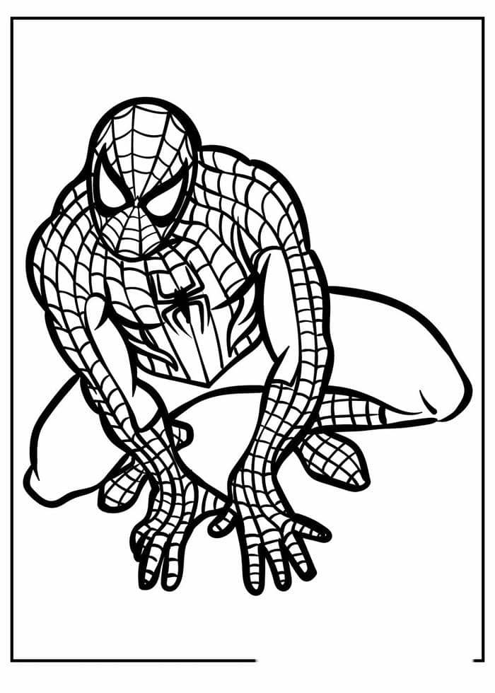 hình tô màu spider man