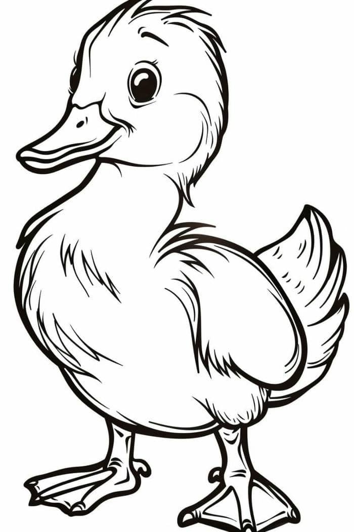 hình tranh tô màu con vịt
