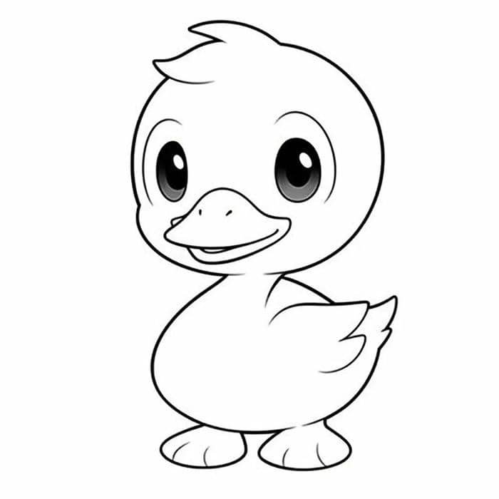 hình vẽ con vịt