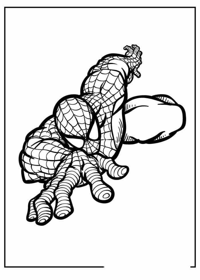 hình vẽ người nhện