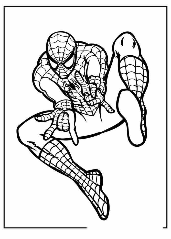spiderman tô màu