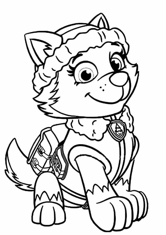 tô màu con chó đẹp