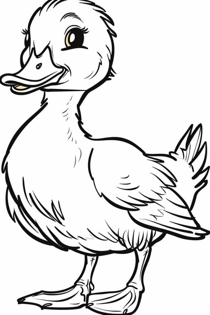 vẽ con vịt