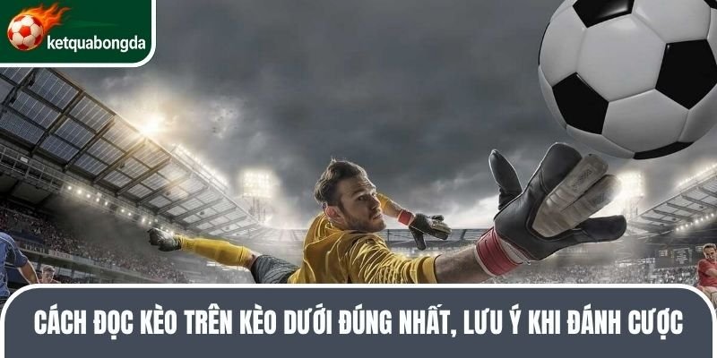 Cách Đọc Kèo Trên Kèo Dưới Đúng Nhất, Lưu Ý Khi Đánh Cược