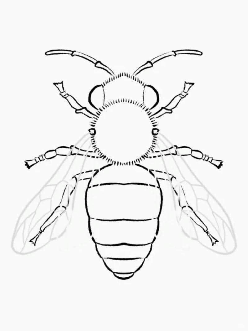 hình ảnh con ong chăm chỉ