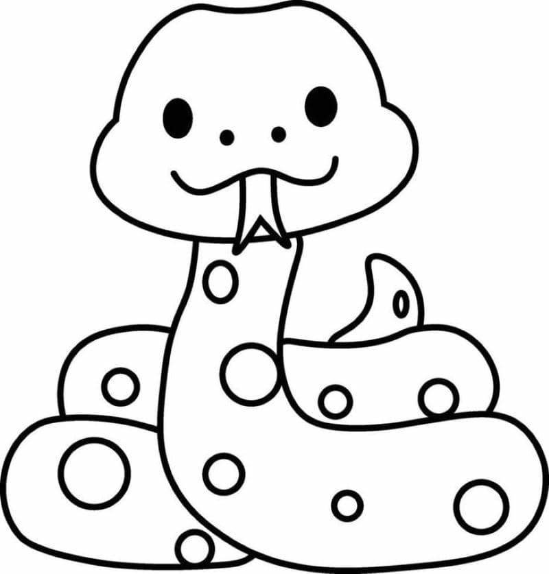 hình ảnh con rắn đẹp