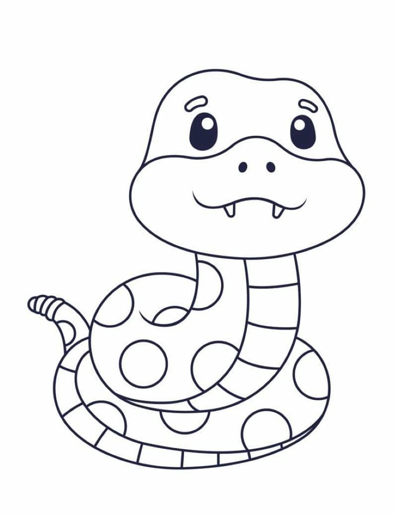 hình con rắn đẹp