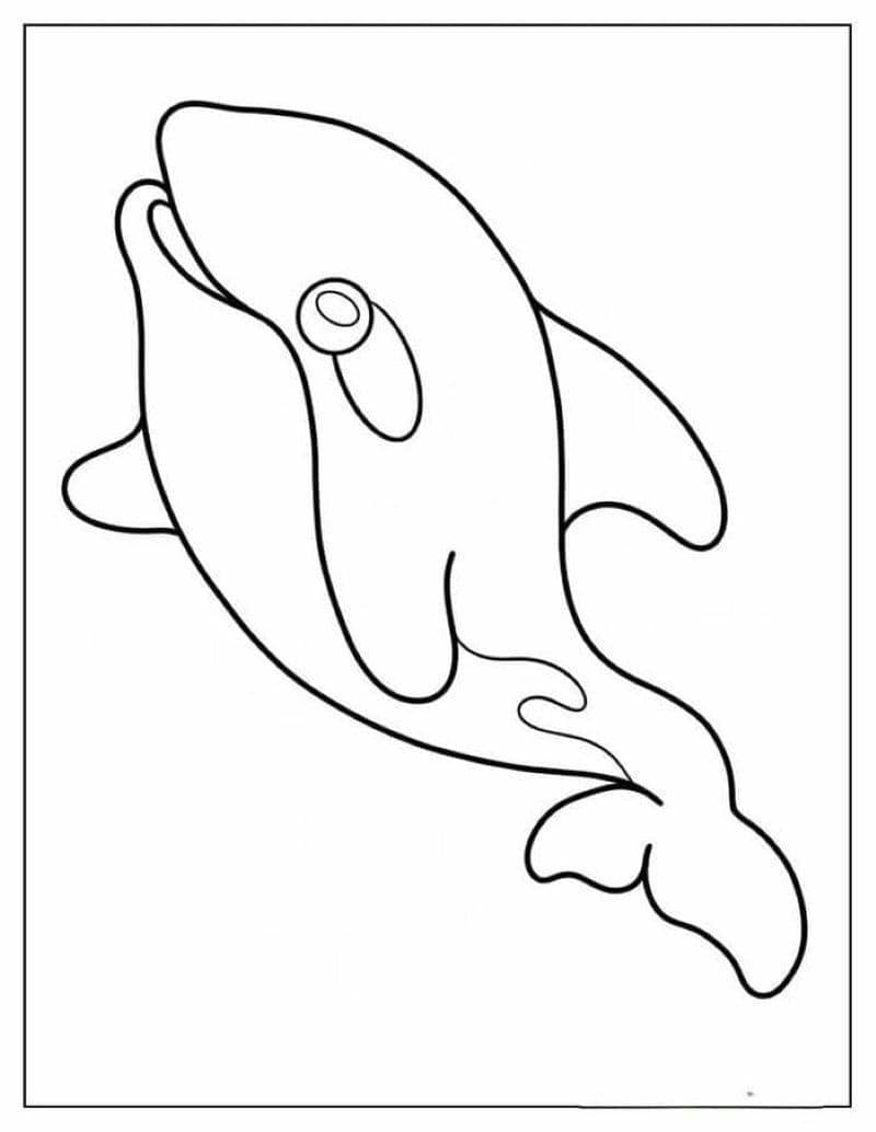 hình tô màu cá voi đơn giản cho bé