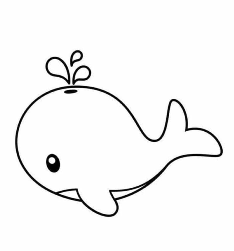 hình tô màu cá voi đơn giản