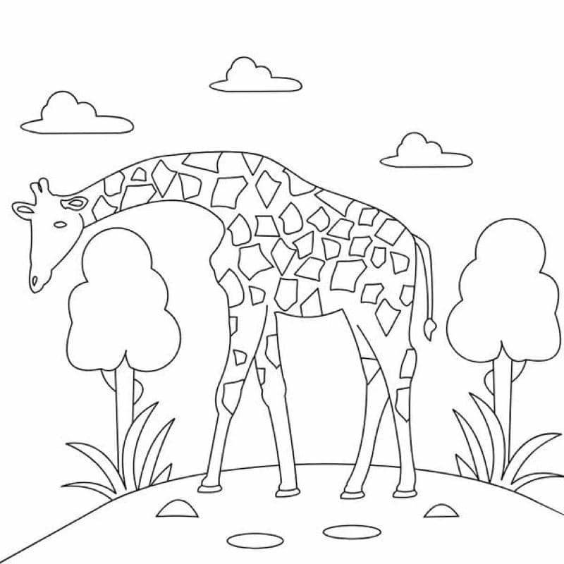 hình tô màu hươu cao cổ cute cho bé