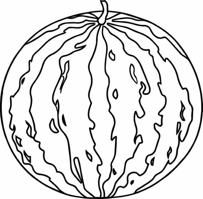 hình tranh tô màu dưa hấu đơn giản