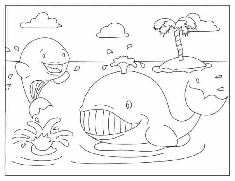 hình vẽ con cá voi