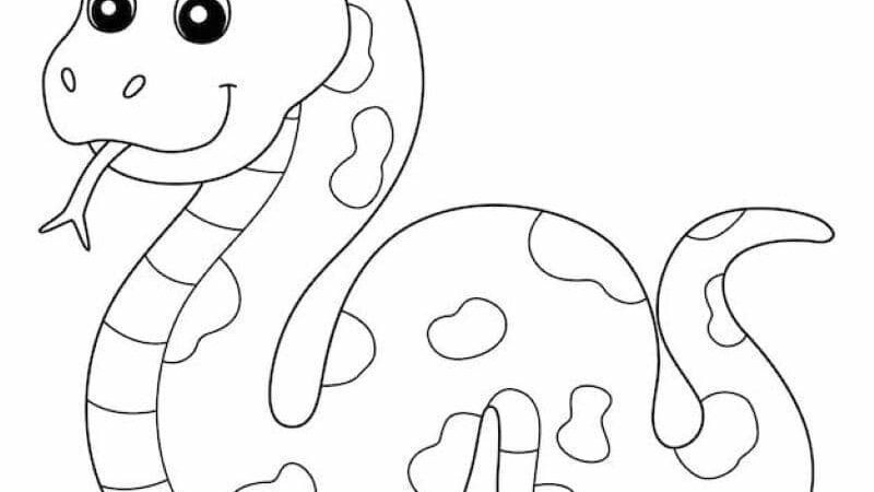 Gợi ý 60+ tranh tô màu con rắn đơn giản, ngộ nghĩnh cho bé